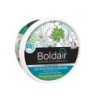 Destructeur D'Odeur Gel Boldair Thé Vert 300 G