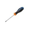 Tournevis Torx T15, L.80 Mm Dexter