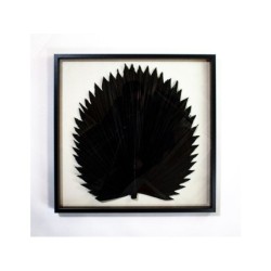 Cadre vitrine Palme ARIANE l.60 x H.60 cm