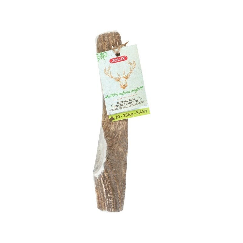 Friandise chien bois de cerf biseaute m