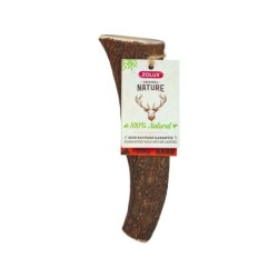 Friandise chien bois de cerf entier - hard plus 20kg