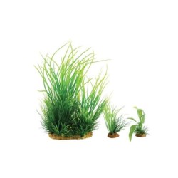 Plante aquarium plantkit wiha n°1