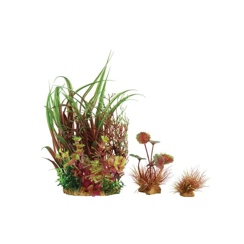 Plante aquarium plantkit wiha n°3