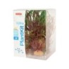 Plante aquarium plantkit wiha n°3