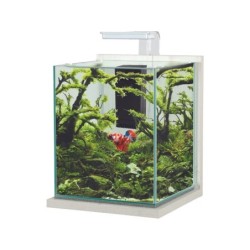 Aquarium verre/bois jalaya xl led filtre 25x25x30cm 18l7 ceruse blanc