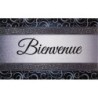 Tapis Dallas Bienvenu Gris 50X80Cm