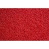 Tapis Queyras Rouge 40X60X0,5Cm