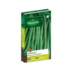 Graine potager contender VILMORIN 200 g