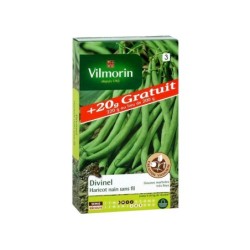 Haricot divinel (+ 20 grammes gratuits) VILMORIN 220 g