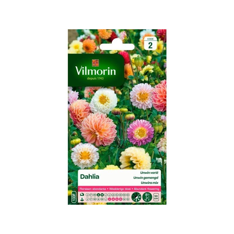 Dahlia unwin multicolore VILMORIN