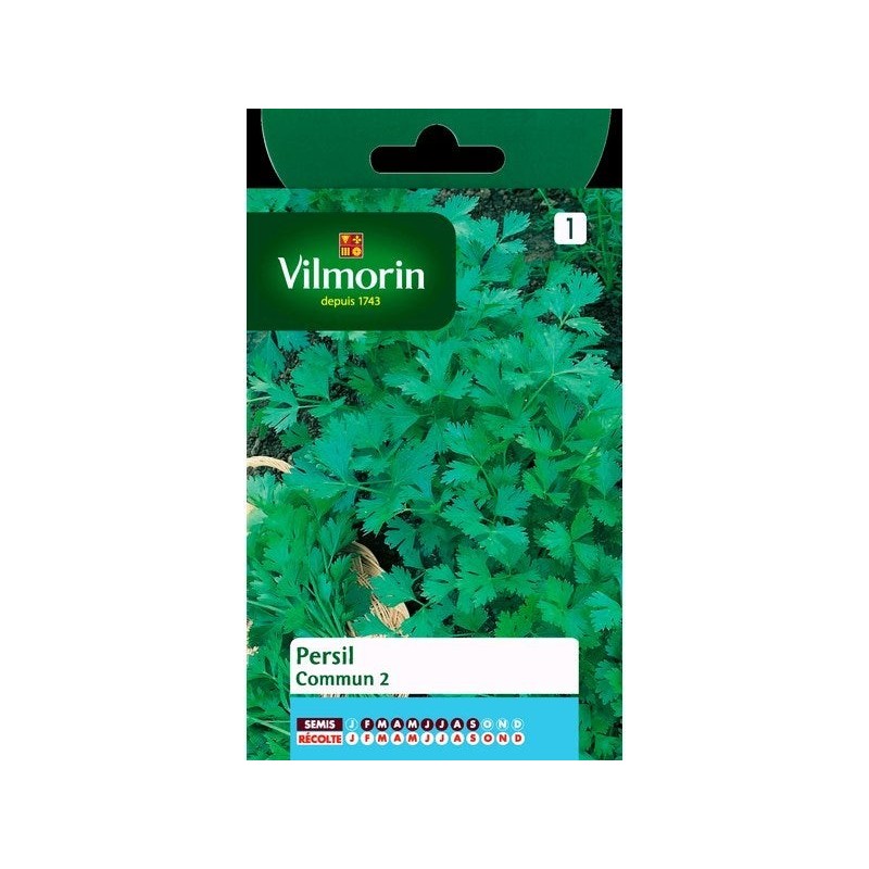 Persil commun officinal VILMORIN 5 g