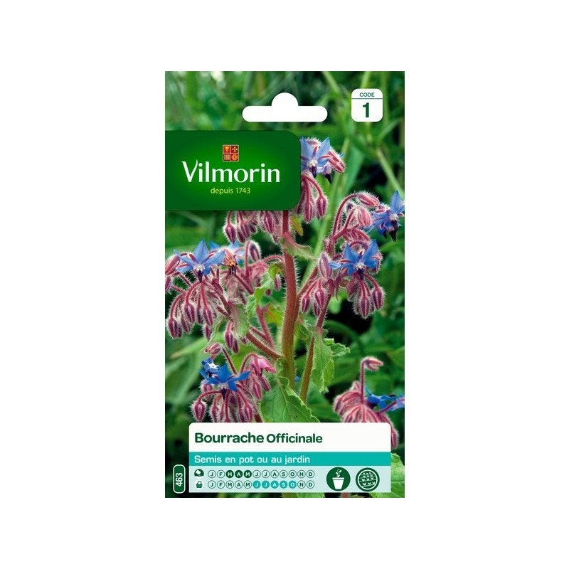 Bourrache officinale VILMORIN 1 g