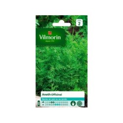 Aneth officinale VILMORIN 5 g