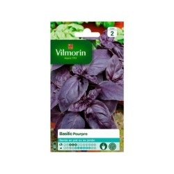 Basilic pourpre VILMORIN 1 g