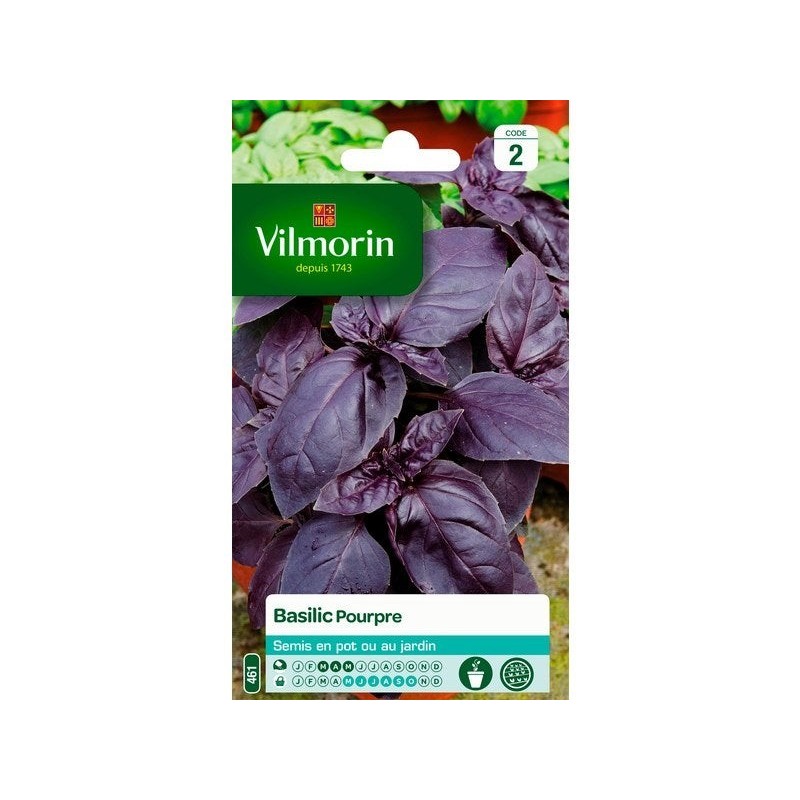 Basilic pourpre VILMORIN 1 g