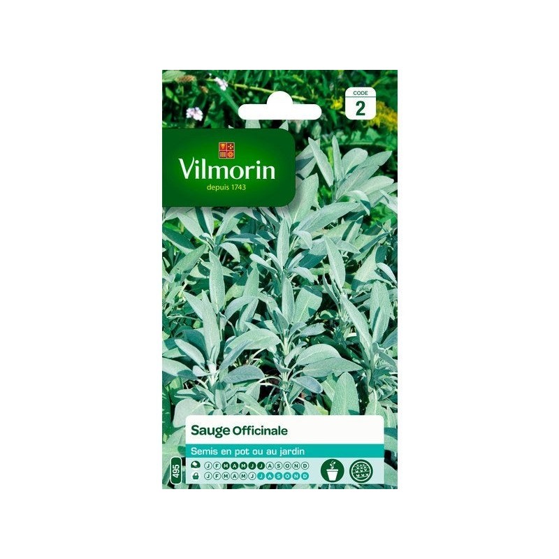 Sauge officinale VILMORIN 2 g