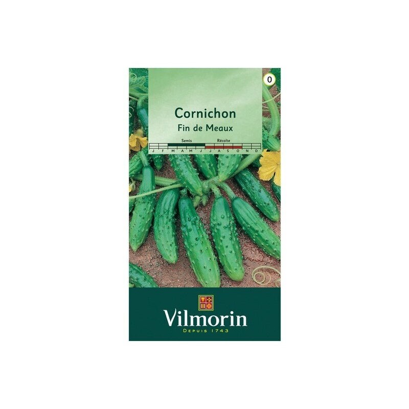 Cornichon fin de meaux VILMORIN 3 g