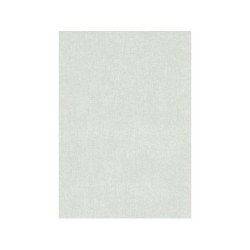 Papier Peint Vinyle Lisse Et Mat Gris Gris 3