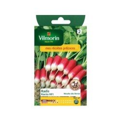 Radis Kocto Vilmorin 10 G