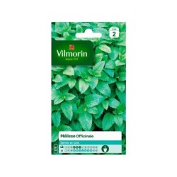 Mélisse officinale VILMORIN 1.5 g