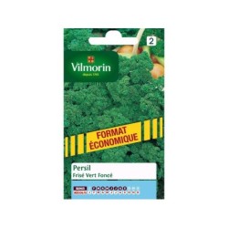 Persil Frisé Vert Foncé Vilmorin 15 G