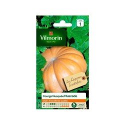 Courge musquée hiver VILMORIN 6 g