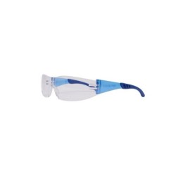 Lunettes de sécurité correctrices +2.0 DEXTER, verres incolore antirayures 