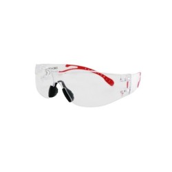 Surlunettes DEXTER, verres incolores antirayures