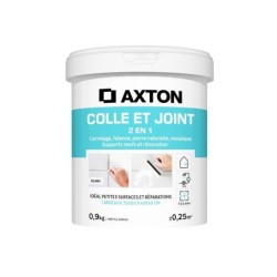 Colle et joint pate, interieur, blanc AXTON 0.9KG