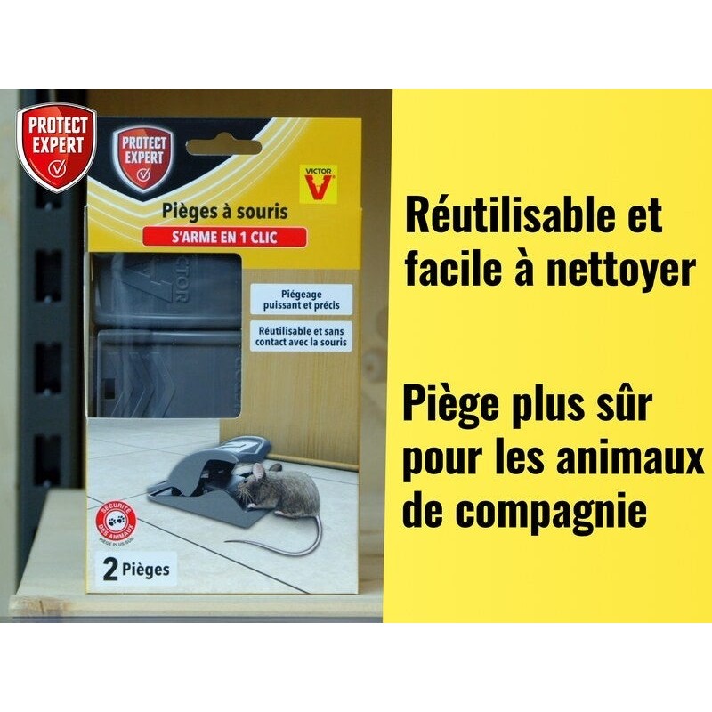 Piège antisouris PROTECT EXPERT, lot de 2