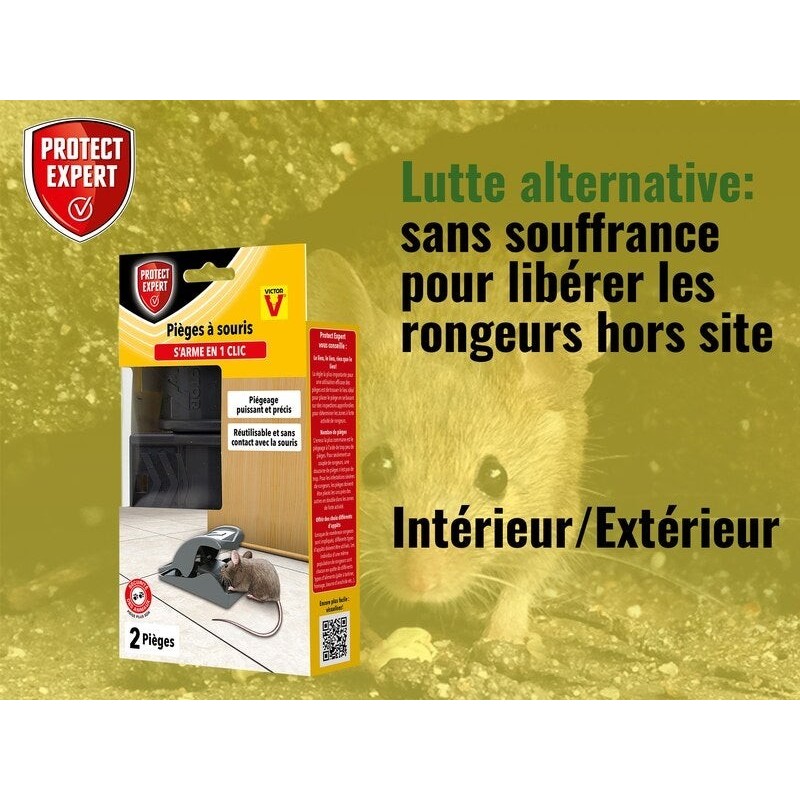 Piège antisouris PROTECT EXPERT, 1 piège