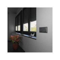 Plaque double Ovalis, SCHNEIDER ELECTRIC, anthracite bague effet laiton