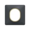 Plaque simple Ovalis, SCHNEIDER ELECTRIC, anthracite bague effet laiton