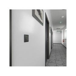 Plaque simple Ovalis, SCHNEIDER ELECTRIC, anthracite bague effet laiton