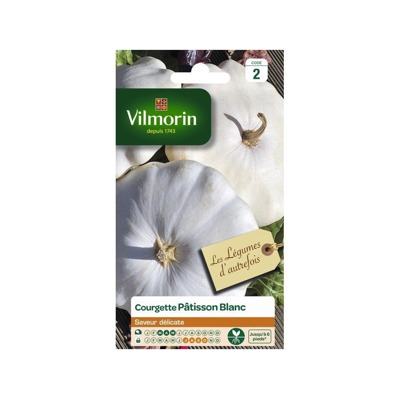 Sachet graines courgette pâtisson blanc, VILMORIN, 5 g