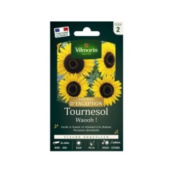 Sachet graines tournesol waooh, VILMORIN, 1 g