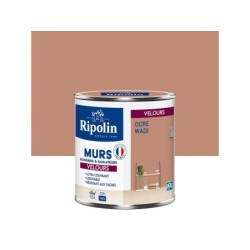 Peinture ocre wadi mur, boiserie, radiateur RIPOLIN velours 0.5 l