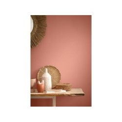 Peinture aspect velours murs, boiseries et radiateurs, biosourcée, ENVIE, rose corallien, 2 litres