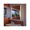 Miroir lumineux rectangulaire l.60 x H.70 cm Easy