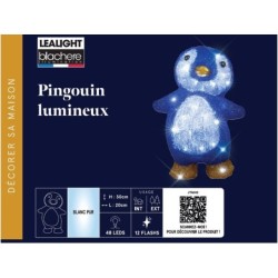 Decor int/ext acrylique pingouin 48 led blanc pur/flash 4,5v cable argent l20xl17xh30cm