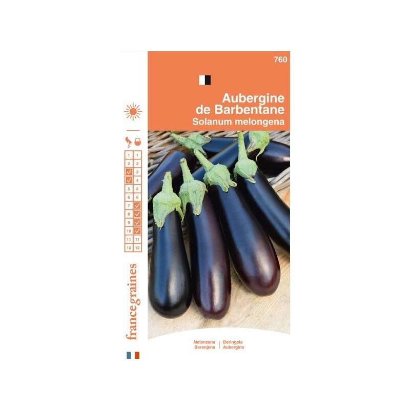 Aubergine de barbentane