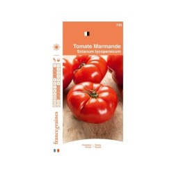 Tomate marmande