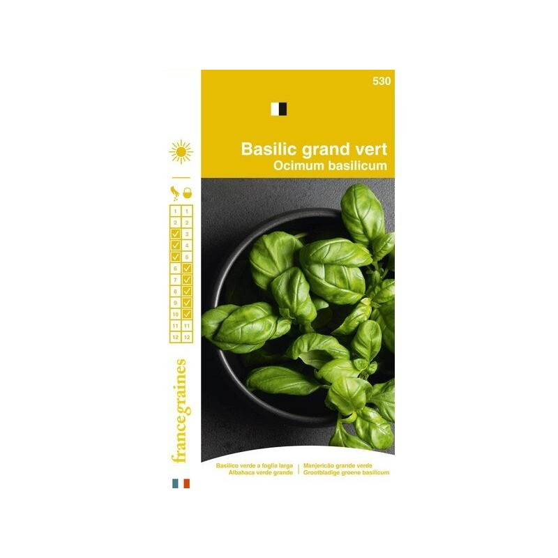 Sachet graines basilic grand vert, FRANCE GRAINES, 1.5 g