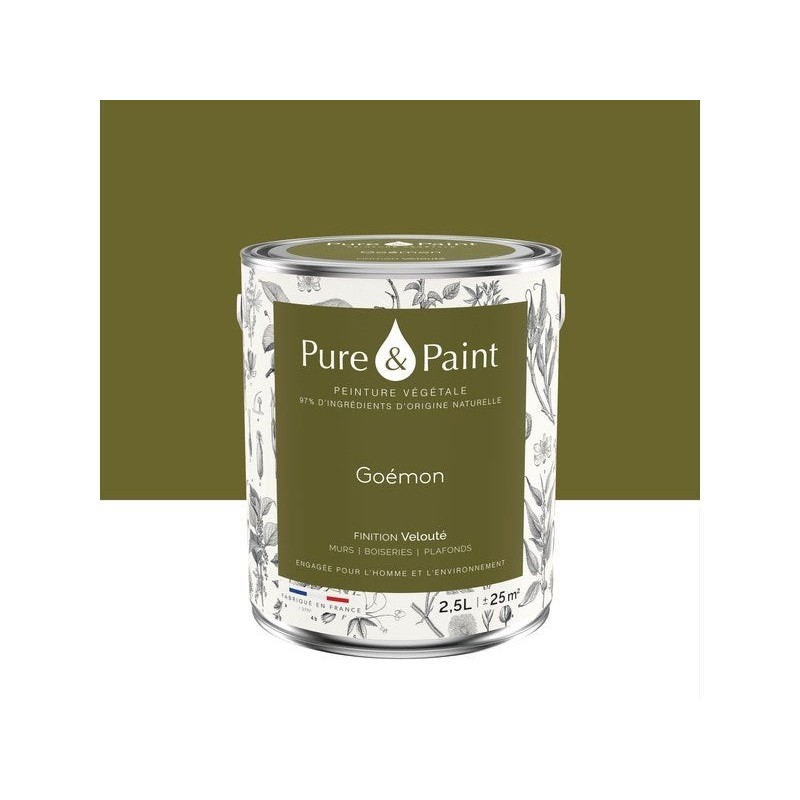 Peinture goemon mur, plafond et boiserie , PURE  PAINT velours 2.5 l