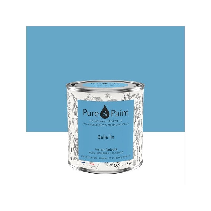 Peinture belle ile mur, plafond et boiserie , PURE  PAINT velours 0.5 l