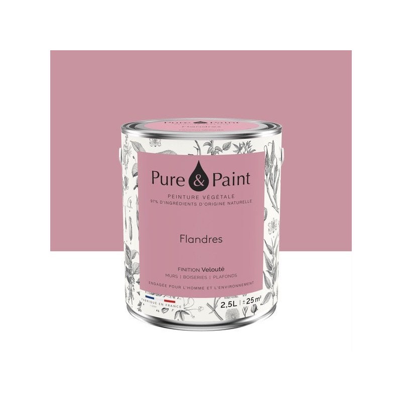 Peinture flandres mur, plafond et boiserie , PURE  PAINT velours 2.5 l