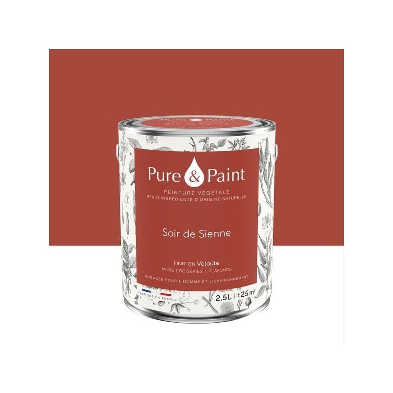 Peinture soir de sienne mur, plafond et boiserie , PURE  PAINT velours 2.5 l