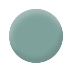 Peinture vert de gris mur, plafond et boiserie , PURE  PAINT velours 0.5 l