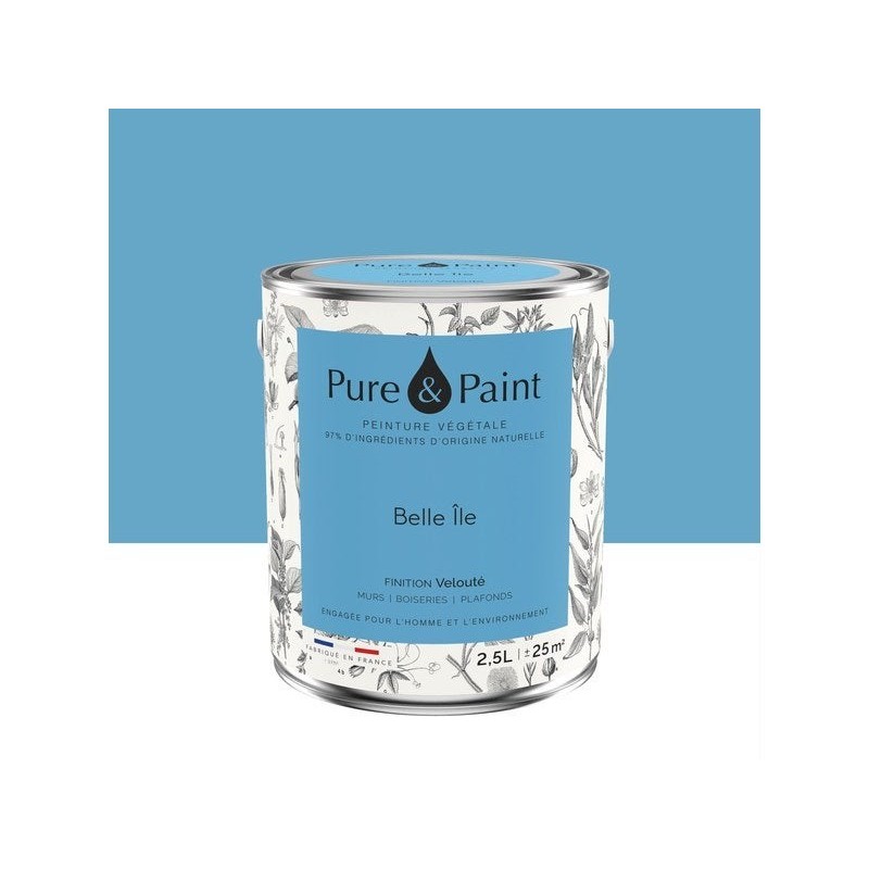 Peinture belle ile mur, plafond et boiserie , PURE  PAINT velours 2.5 l