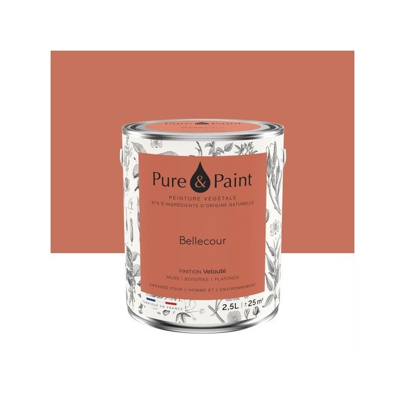 Peinture bellecour mur, plafond et boiserie , PURE  PAINT velours 2.5 l